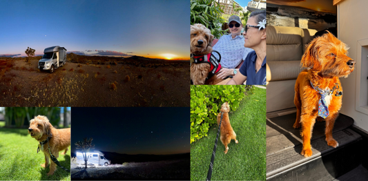 Pup-Friendly Glamping Destinations You’ll Want to Book Right Now for 2025