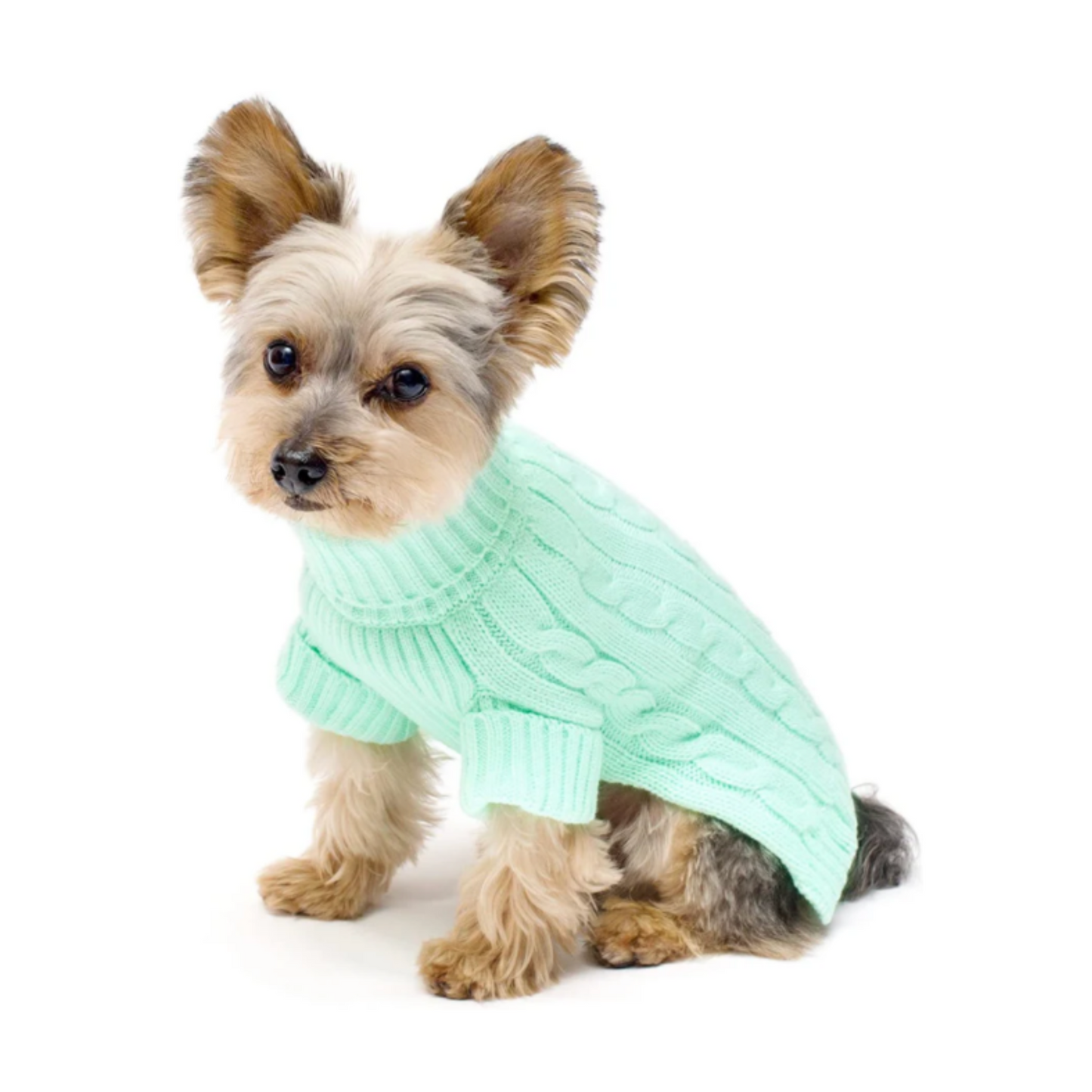 Turtleneck Dog Sweater Mint Size #14