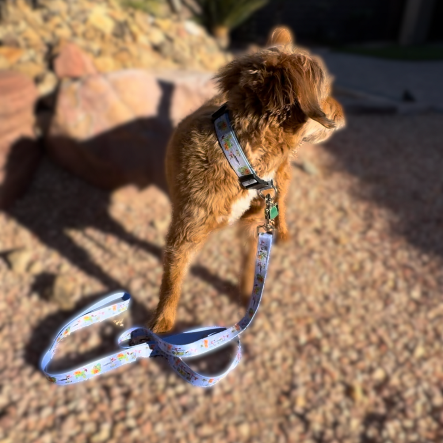 Tui's Ties Exclusive Kolohe Kai Eono Premium Pet Leash